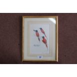 Peter Scott (1909-1989) limited edition (6/9) framed print of bee-eaters,