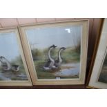 Philip Rickman (1891-1982), framed watercolour of Grey Chinese Geese, 1975,