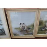 Philip Rickman (1891-1982), framed watercolour of a pair of Grey African Geese,