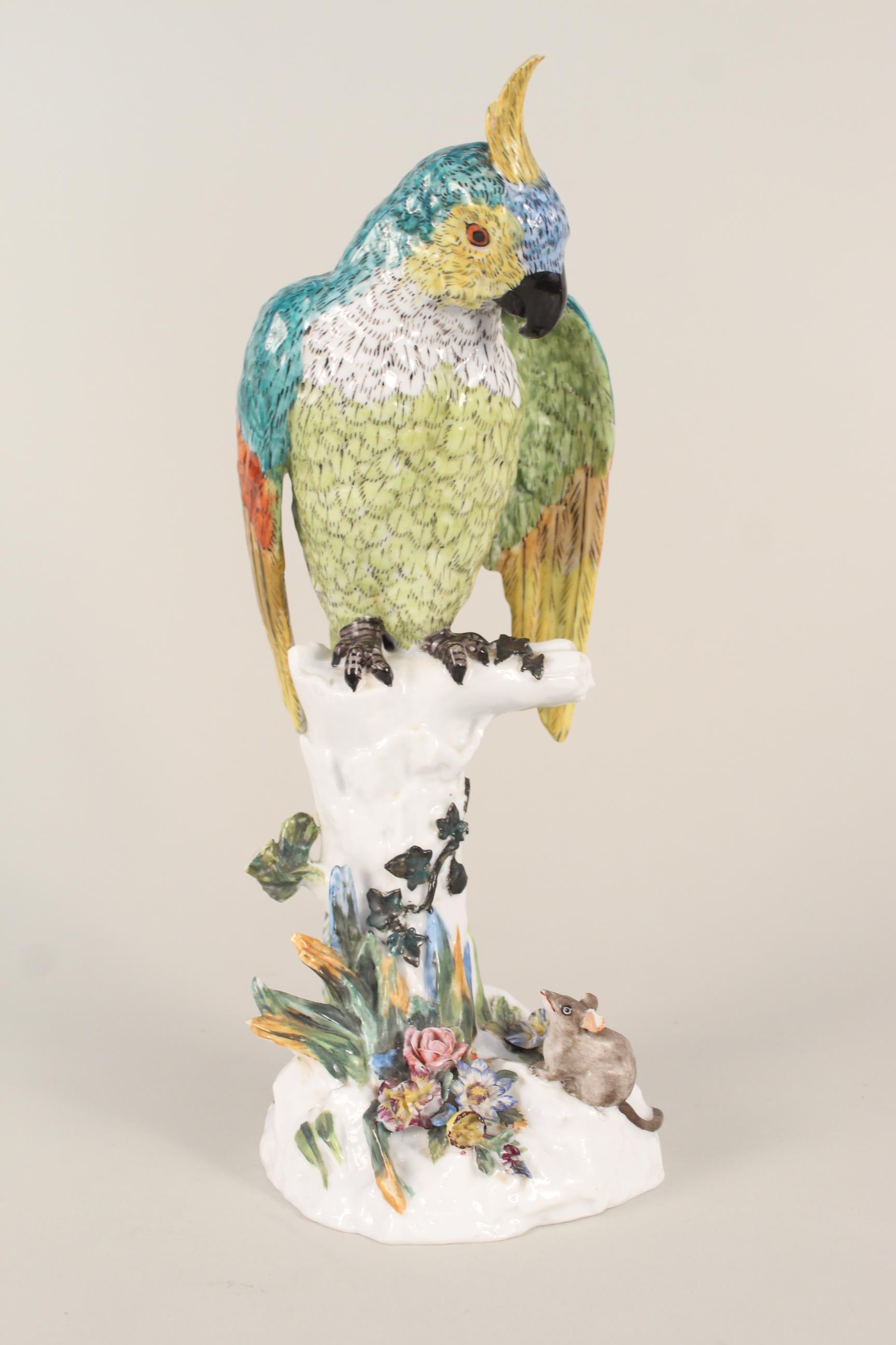 A 19th Century Dresden marked Macaw parrot perching on a branch with a small mouse at his feet,