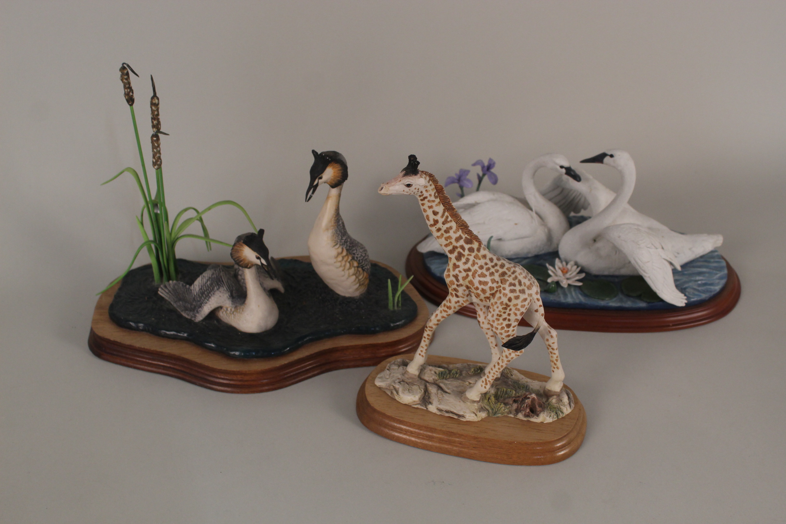 Border Fine Arts figures of Grebes,