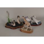 Border Fine Arts figures of Grebes,