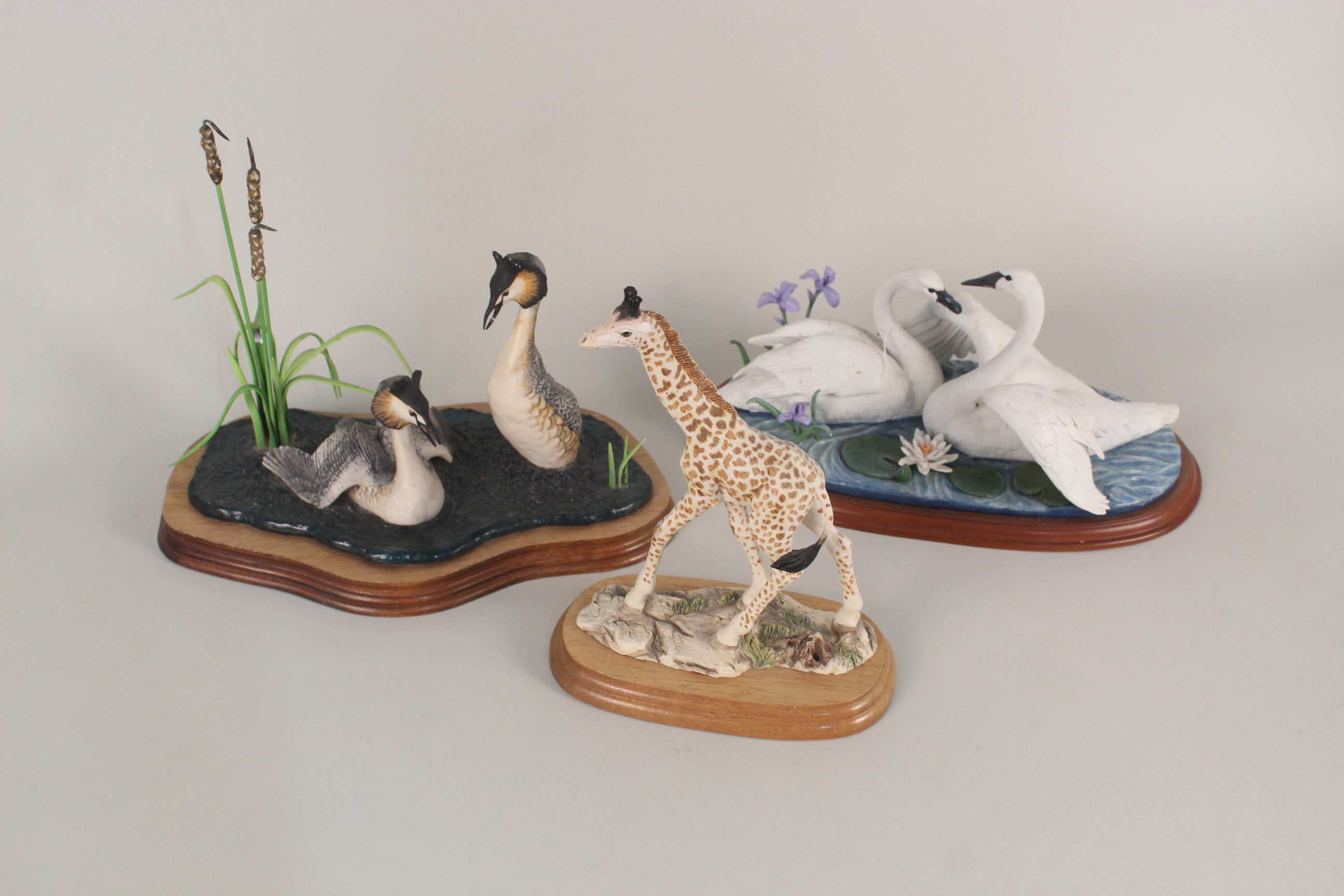 Border Fine Arts figures of Grebes, - Image 2 of 5