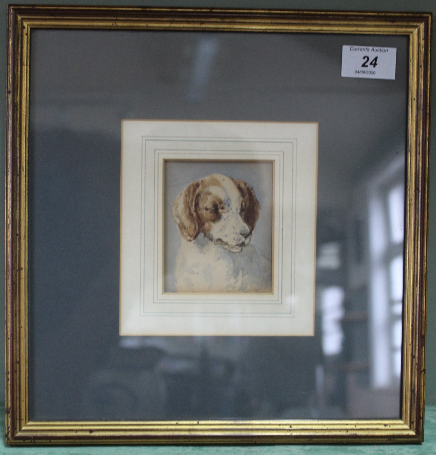William Woodhouse (1857-1939) A watercolour of the head of a spaniel by William Woodhouse,