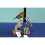 A taxidermy Robin with a Pied Wagtail,