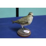 A taxidermy Golden Plover mounted on wooden plinth