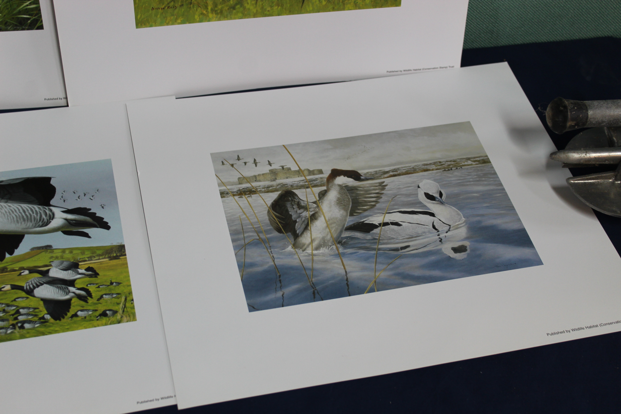 Six wildlife Habitat Trust limited edition prints - Bild 3 aus 3