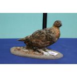 A taxidermy Red Grouse mounted on a naturalistic base