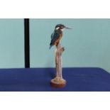 A taxidermy Kingfisher mounted on a naturalistic branch