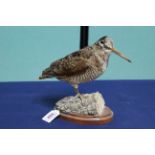 A taxidermy woodcock mounted onto a wooden base