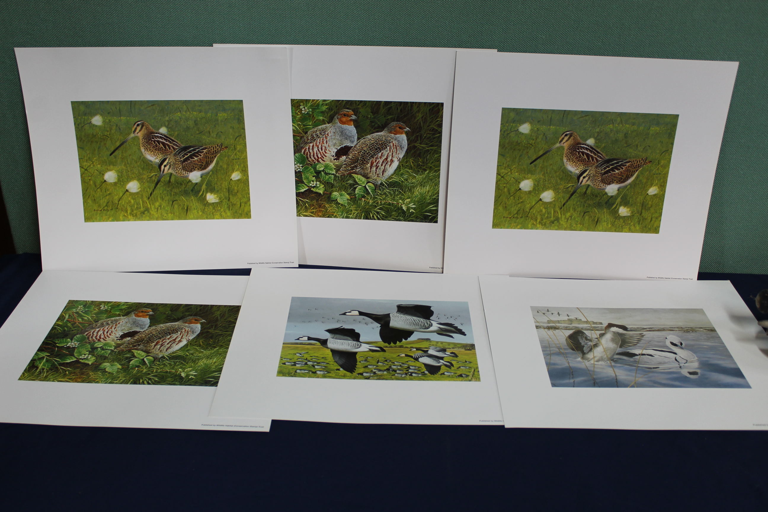 Six wildlife Habitat Trust limited edition prints