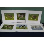 Six wildlife Habitat Trust limited edition prints