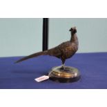 A 'bronze' of a male pheasant,