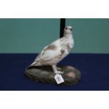 A taxidermy Ptarmigan mounted on a naturalistic base
