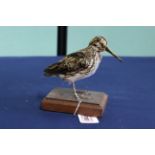 A taxidermy Jack Snipe mounted on its plinth
