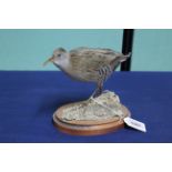 A taxidermy Water Rail mounted on wooden plinth and rustic base