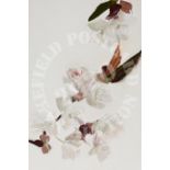 Wild Cherry Blossom - oil on (gesso) card