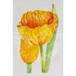 Spring Tulips - watercolour