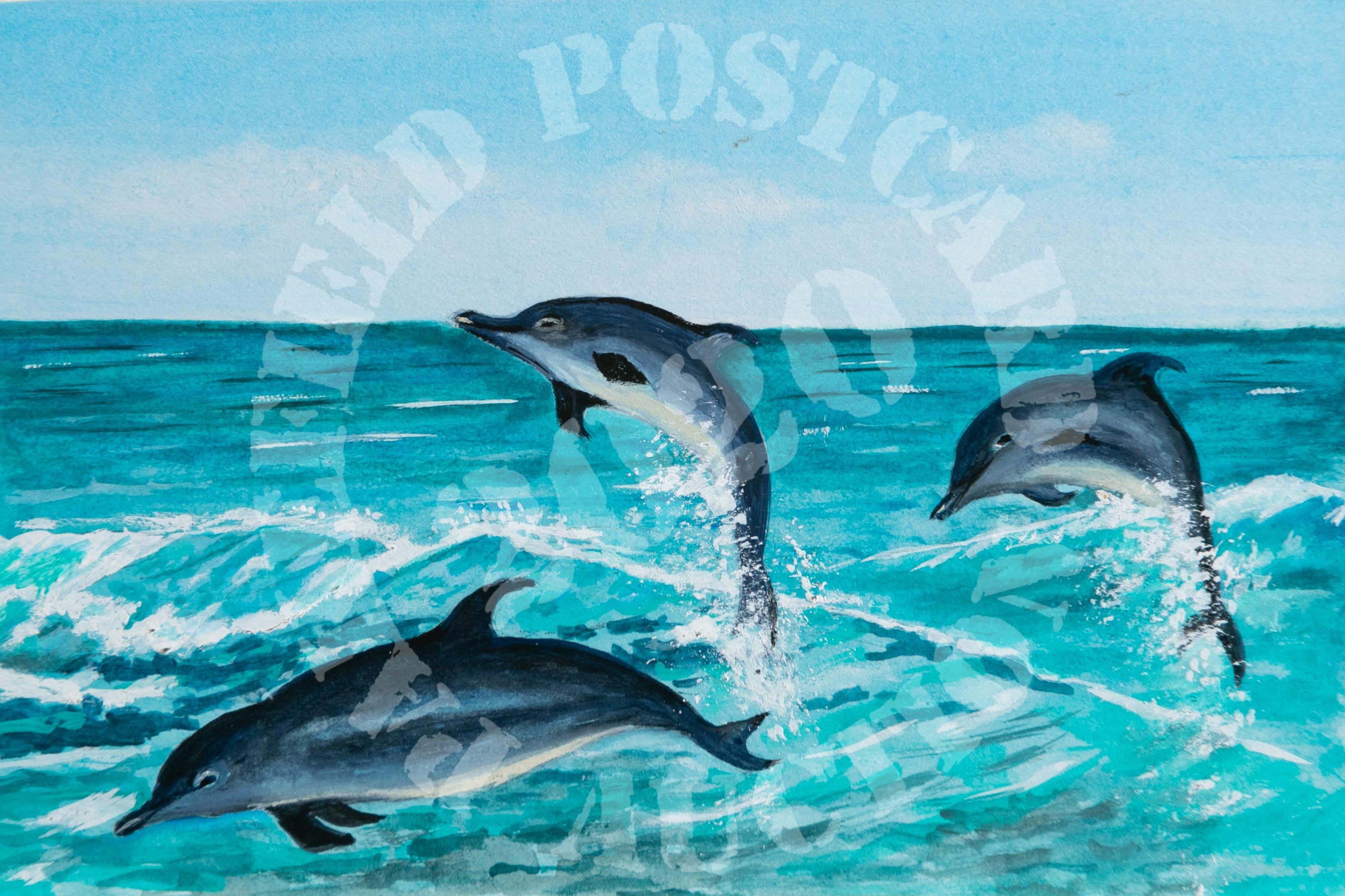 Dolphins Leaping for Joy - gouache