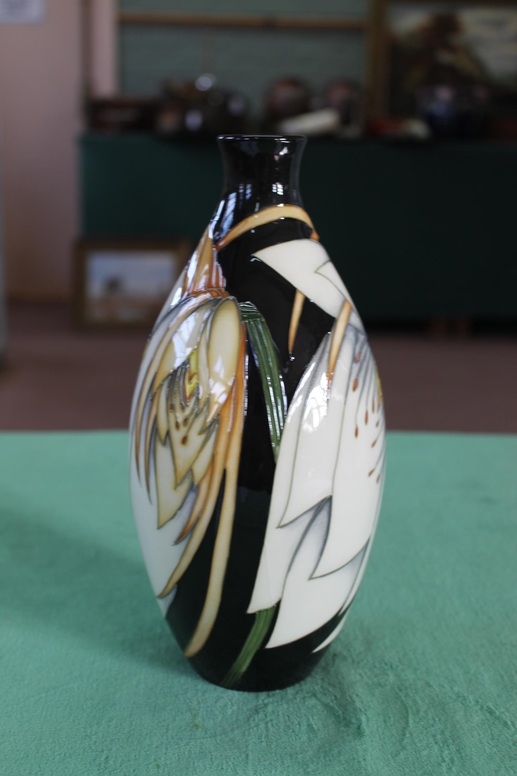 A Moorcroft 'Moon Flower' pattern vase, 2007 by Philip Gibson, 9 1/2" high,