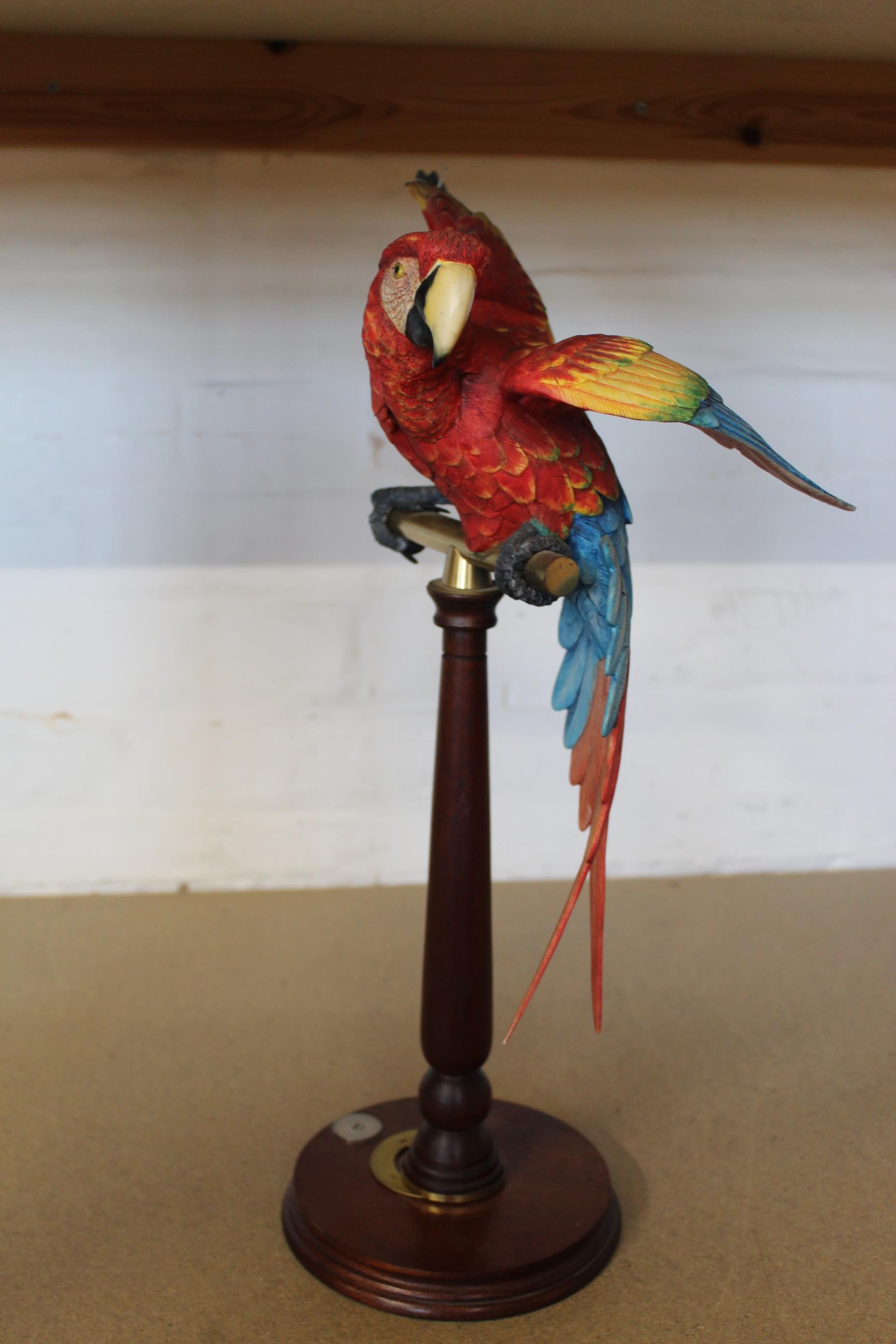 A Border Fine Art large macaw on perch, various otters,