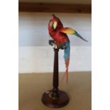 A Border Fine Art large macaw on perch, various otters,