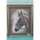 A framed pastel horse portrait of 'The Connoisseur', signed Linda Boddy 1989,