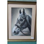 A framed pastel horse portrait of 'Ides of March', signed Linda Boddy 1991,