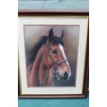 A framed pastel horse portrait of 'Smurf', signed Linda Boddy 1991,