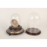 A wood based glass dome probably for pocket watches,