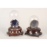 A 19th Century wood and ivory pocket watch stand under glass dome, the dome being hinged,