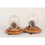 Two 19th Century turned satinwood pocket watch holders under glass domes,