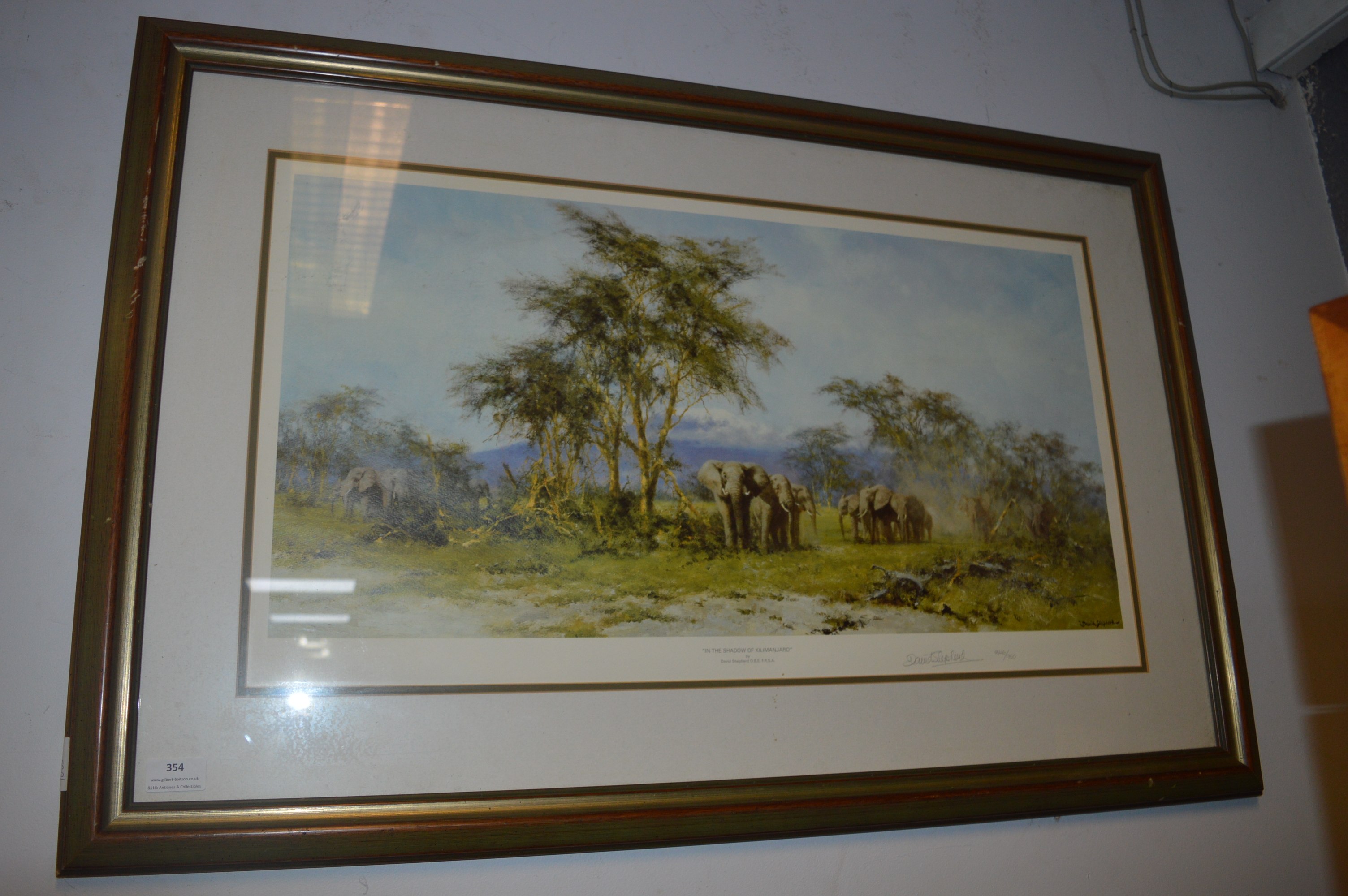 Signed Print by David Shepherd - "In the Shadow of