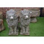 Pair of Garden Lion Statues