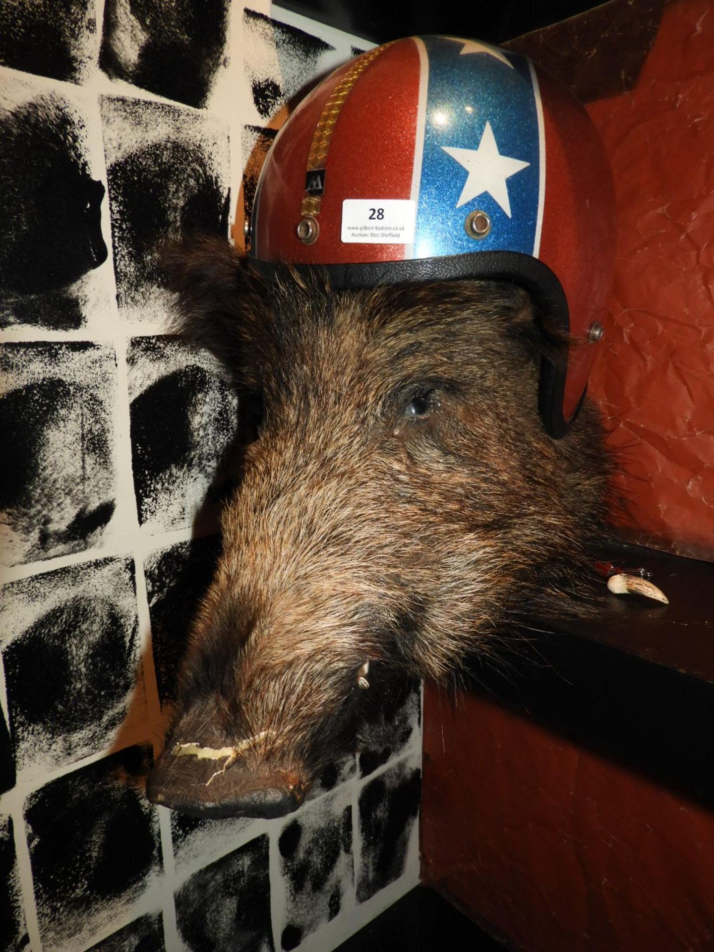 *Boars Head with Motorcycle Helmet