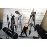 Assorted Tripods; Velbon, Cobra, etc.