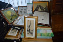 Assorted Framed Pictures and Prints