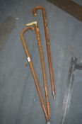 Three Walking Sticks