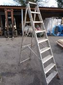 *Youngman Step Ladder