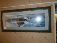 * Coastal picture (framed)