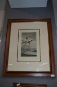 Framed Print by Archibald Thorburn - Ducks in Fli