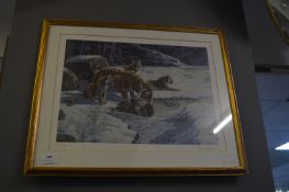 Signed Framed Print by Stephen Grayford - Tiger in