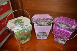 Three Seed Planting Bucket Kits