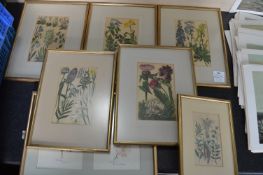 Seven Gilt Framed Botanical Prints