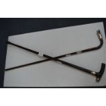 Two Silver Mounted Walking Canes