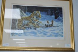 Signed Limited Edition Print by Steve Gayford - Tiger in Snow