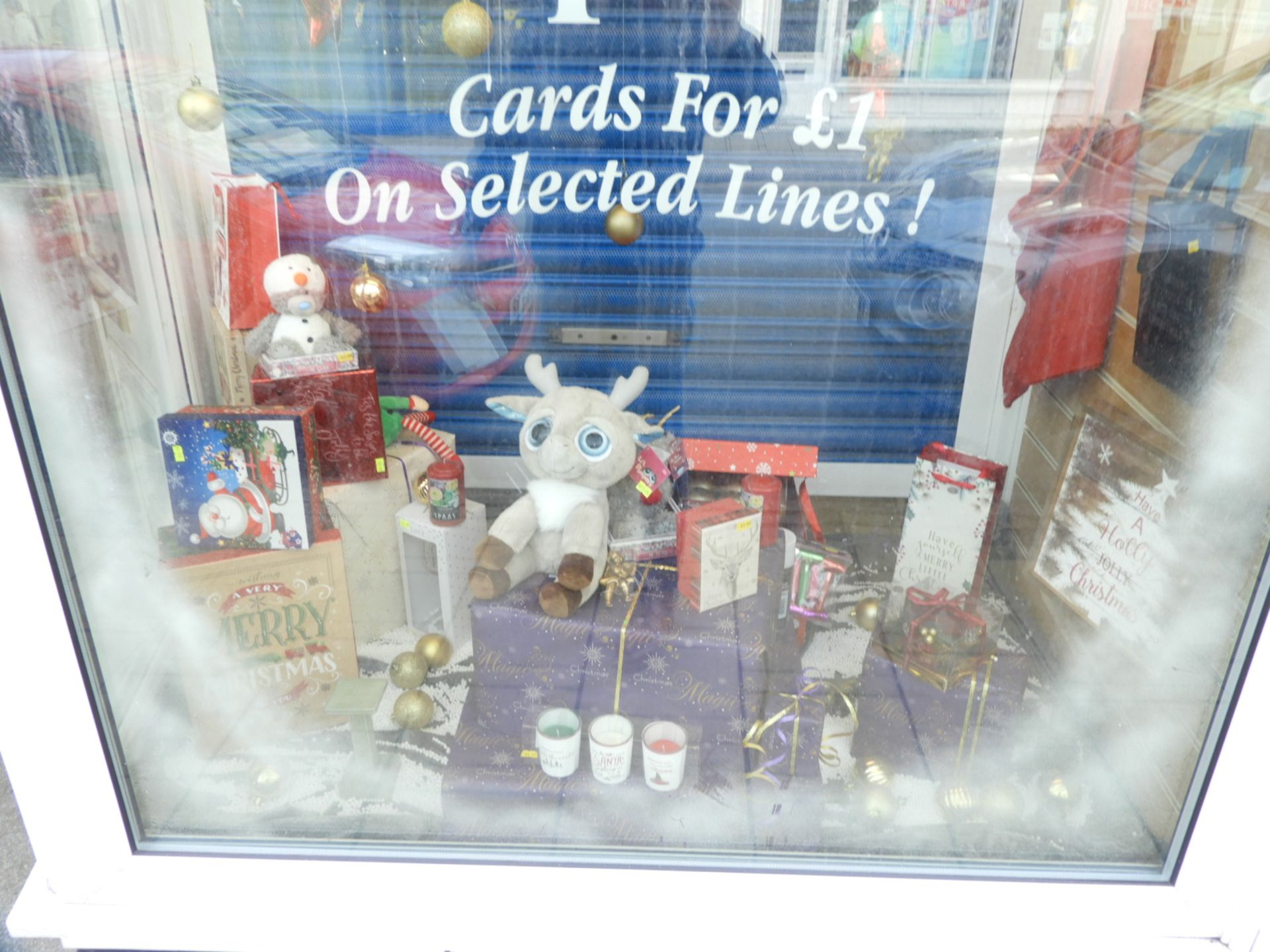 Contents of Window Display to Include Assorted Chr