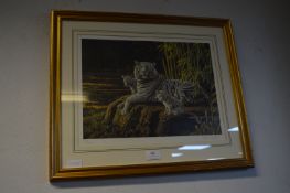 Stephen Gayford Limited Edition Print of Tigers