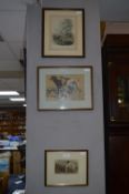 Three Victorian Greyhound Prints