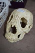 Ornamental Pottery Skull